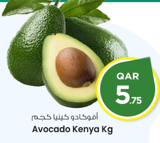 فاكهة طازجة in مارك & سيف, قطر Offers - قطر Avocado from Kenya available at مارك & سيف in قطر - الوكرة