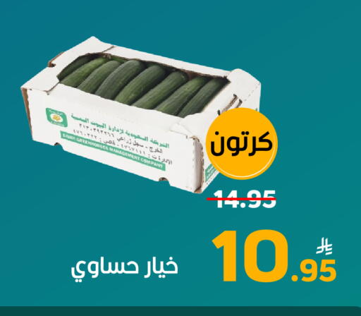 Fresh Vegetables in Green Apple Market, Saudi Arabia Offers - Saudi Arabia Cucumber from Saudi Arabia available at Green Apple Market in KSA, Saudi Arabia, Saudi - Al Hasa