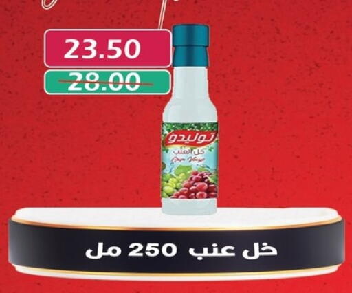 الصلصات والسبريد in بشاير هايبرماركت, Egypt Offers - Egypt خل available at بشاير هايبرماركت in Egypt - القاهرة