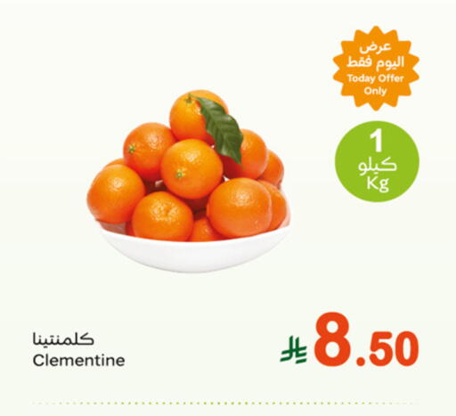 Fresh Vegetables in Othaim Markets, Saudi Arabia Offers - Saudi Arabia available at Othaim Markets in KSA, Saudi Arabia, Saudi - Riyadh