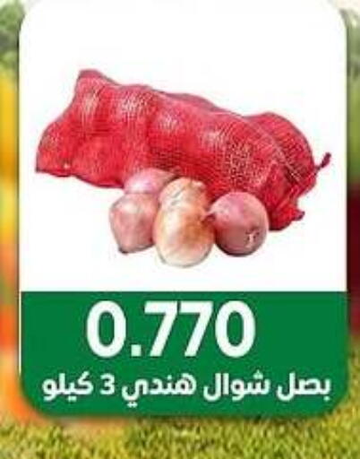 الخضروات الطازجة in جمعية مدينة صباح الأحمد التعاونية, الكويت Offers - الكويت بصل available at جمعية مدينة صباح الأحمد التعاونية in الكويت - محافظة الجهراء