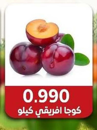 فاكهة طازجة in جمعية مدينة صباح الأحمد التعاونية, الكويت Offers - الكويت available at جمعية مدينة صباح الأحمد التعاونية in الكويت - محافظة الجهراء