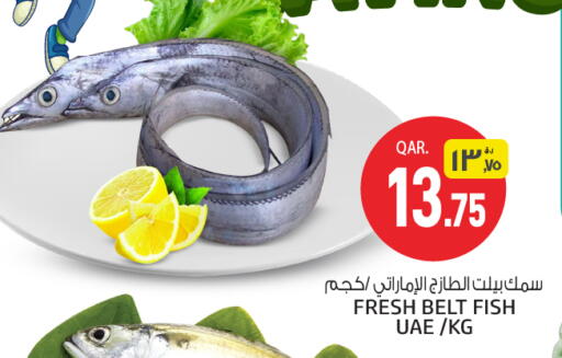 available at كنز ميني مارت in قطر - الوكرة