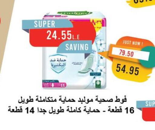 Feminine Hygiene in Metro Market , Egypt Offers - Egypt available at Metro Market in Egypt - Cairo