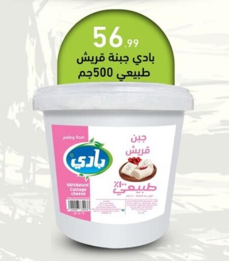 جبنة القريش available at أولاد المحاوى in Egypt - القاهرة