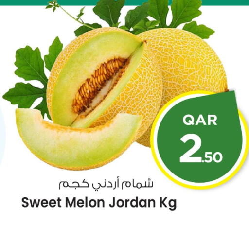 Sweet melon from Jordan available at Mark & Save  in Qatar - Al Daayen