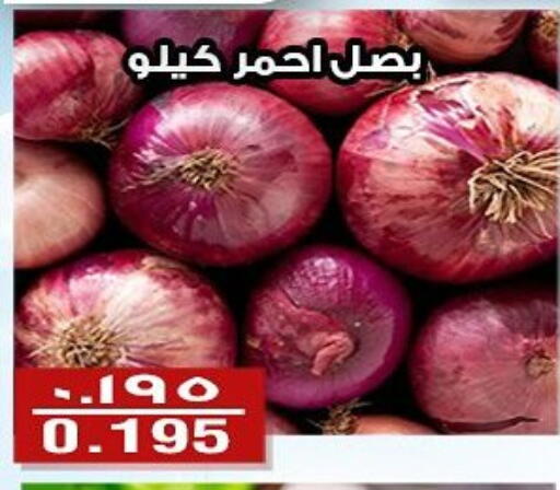 Fresh Vegetables in Al Fintass Cooperative Society , Kuwait Offers - Kuwait Onion available at Al Fintass Cooperative Society in Kuwait - Kuwait City