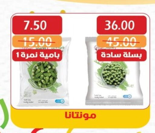 فواكه وخضار مجمدة in بشاير هايبرماركت, Egypt Offers - Egypt available at بشاير هايبرماركت in Egypt - القاهرة