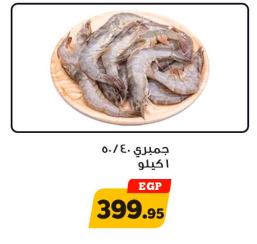 الأسماك الطازجة in أولاد رجب, Egypt Offers - Egypt available at أولاد رجب in Egypt - القاهرة