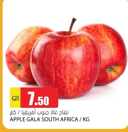 تفاح from South Africa available at جراند هايبرماركت in قطر - الضعاين