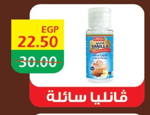 Vanilla available at بشاير هايبرماركت in Egypt - القاهرة