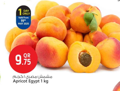 فاكهة طازجة in سفاري هايبر ماركت, قطر Offers - قطر Apricot from Egypt available at سفاري هايبر ماركت in قطر - الوكرة