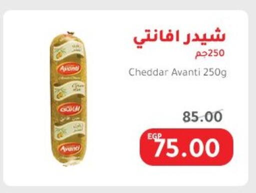 Cheese & Cream in Elhakim market , Egypt Offers - Egypt Cheddar Cheese available at Elhakim market in Egypt - Cairo