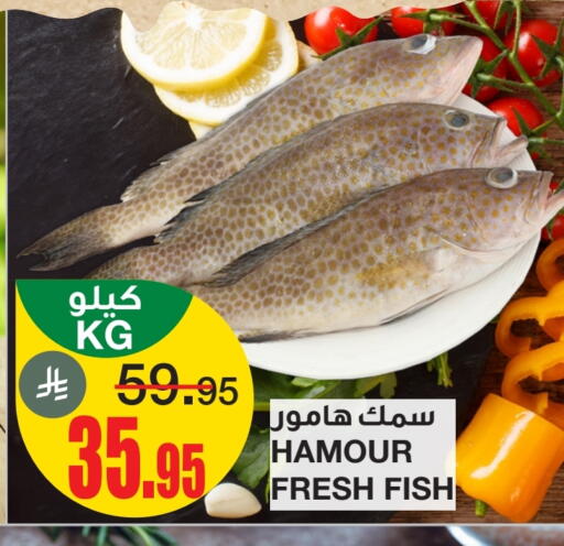 الأسماك الطازجة in أسواق السدحان, المملكة العربية السعودية Offers - المملكة العربية السعودية available at أسواق السدحان in مملكة العربية السعودية, السعودية, سعودية - الرياض