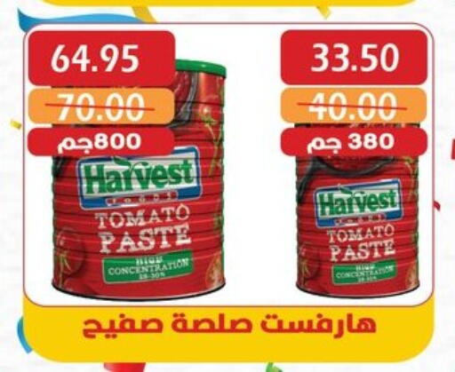 الصلصات والسبريد in بشاير هايبرماركت, Egypt Offers - Egypt معجون طماطم available at بشاير هايبرماركت in Egypt - القاهرة