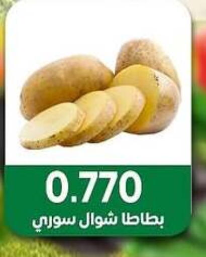 الخضروات الطازجة in جمعية مدينة صباح الأحمد التعاونية, الكويت Offers - الكويت available at جمعية مدينة صباح الأحمد التعاونية in الكويت - محافظة الجهراء