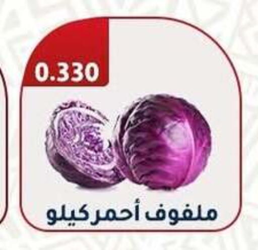 كرنب available at جمعية فحيحيل التعاونية in الكويت - مدينة الكويت