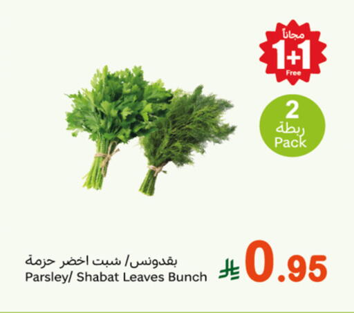 Fresh Vegetables in Othaim Markets, Saudi Arabia Offers - Saudi Arabia Parsley available at Othaim Markets in KSA, Saudi Arabia, Saudi - Bishah
