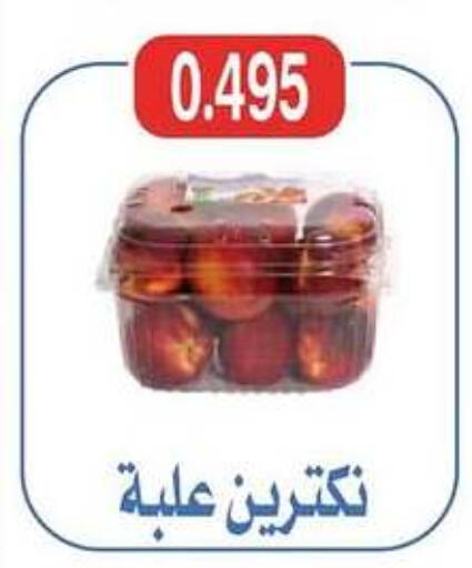 فاكهة طازجة in جمعية شمال غرب الصليبيخات, الكويت Offers - الكويت available at جمعية شمال غرب الصليبيخات in الكويت - محافظة الجهراء