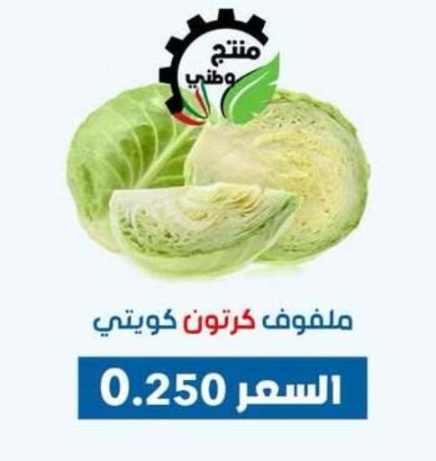 الخضروات الطازجة in جمعية ضاحية عبدالله السالم والمنصورية التعاونية, الكويت Offers - الكويت كرنب available at جمعية ضاحية عبدالله السالم والمنصورية التعاونية in الكويت - محافظة الجهراء