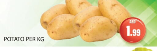 Potato available at جلف هايبرماركت ذ.م.م in الإمارات العربية المتحدة , الامارات - رَأْس ٱلْخَيْمَة