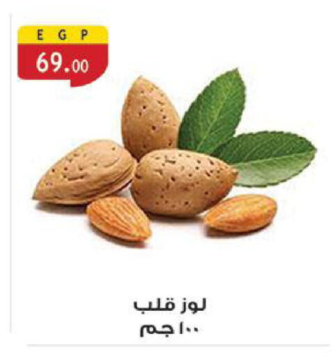 Dried Fruits & Dates in Al Rayah Market , Egypt Offers - Egypt available at Al Rayah Market in Egypt - Cairo