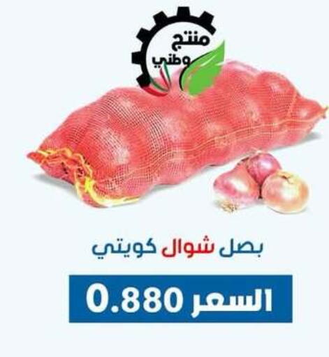 بصل available at جمعية ضاحية عبدالله السالم والمنصورية التعاونية in الكويت - محافظة الأحمدي