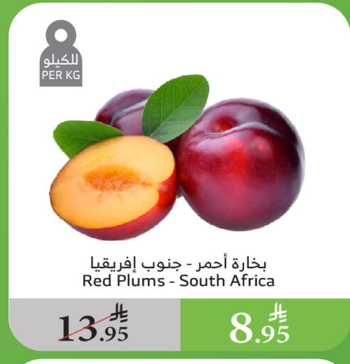 فاكهة طازجة in الراية, المملكة العربية السعودية Offers - المملكة العربية السعودية برقوق from South Africa available at الراية in مملكة العربية السعودية, السعودية, سعودية - الباحة