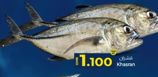 available at KM Trading  in Oman - Muscat