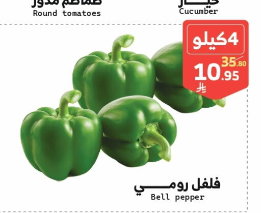 Chilli / Capsicum available at Mira Mart Mall in KSA, Saudi Arabia, Saudi - Jeddah