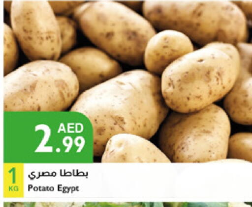 Potato from Egypt available at إسطنبول سوبرماركت in الإمارات العربية المتحدة , الامارات - أبو ظبي