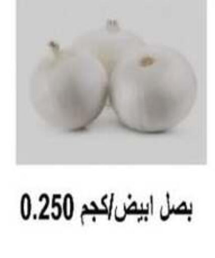 بصل available at جمعية أبو حليفة التعاونية in الكويت - محافظة الأحمدي