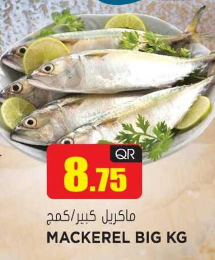 available at جراند هايبرماركت in قطر - الوكرة