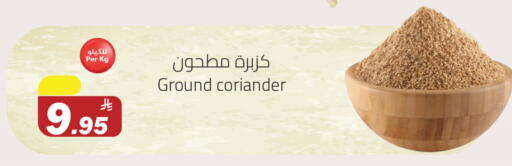 Pulses, Beans & Grains in Hypermarket Stor, Saudi Arabia Offers - Saudi Arabia Coriander available at Hypermarket Stor in KSA, Saudi Arabia, Saudi - Buraidah
