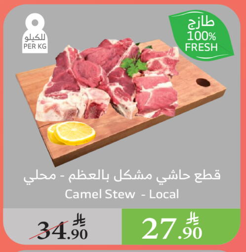 Meat - Fresh & Chilled in Al Raya, Saudi Arabia Offers - Saudi Arabia Camel meat available at Al Raya in KSA, Saudi Arabia, Saudi - Al Qunfudhah