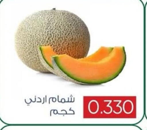 Sweet melon available at Sabah Al Salem Co op in Kuwait - Kuwait City