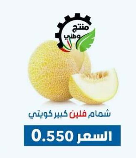 شمام available at جمعية ضاحية عبدالله السالم والمنصورية التعاونية in الكويت - محافظة الجهراء
