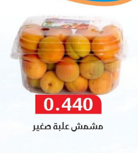 available at جمعية المسايل التعاونية in الكويت - محافظة الجهراء