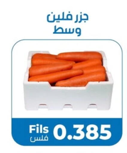 جزر available at جمعية خيطان التعاونية in الكويت - مدينة الكويت