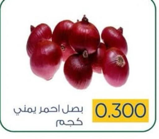 بصل available at جمعية ضاحية صباح السالم التعاونية in الكويت - مدينة الكويت