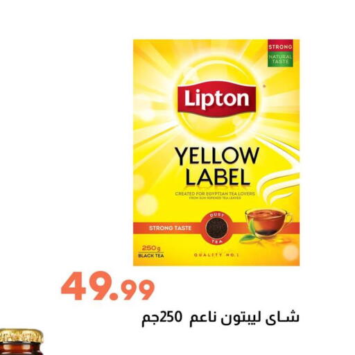 ليبتون available at سوق غلاب in Egypt - القاهرة