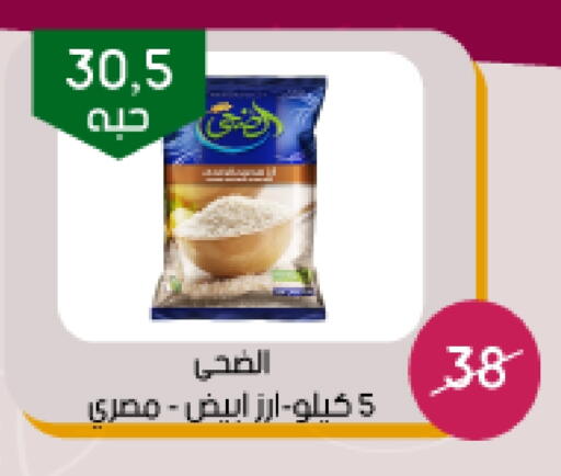 Rice in Arab Wissam Markets, Saudi Arabia Offers - Saudi Arabia Calrose Rice available at Arab Wissam Markets in KSA, Saudi Arabia, Saudi - Riyadh