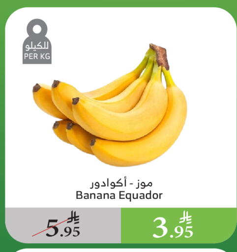 فاكهة طازجة in الراية, المملكة العربية السعودية Offers - المملكة العربية السعودية موز available at الراية in مملكة العربية السعودية, السعودية, سعودية - الطائف