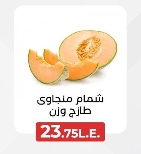 فاكهة طازجة in عرفة ماركت, Egypt Offers - Egypt شمام available at عرفة ماركت in Egypt - القاهرة