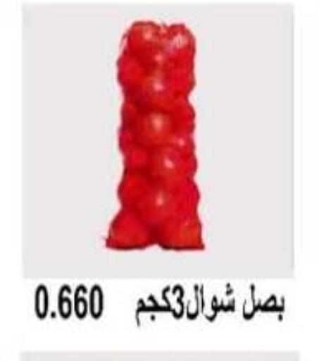 بصل available at جمعية أبو حليفة التعاونية in الكويت - محافظة الأحمدي
