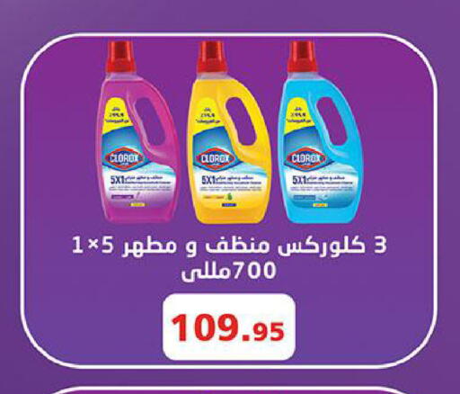 كلوركس منظف عام available at الرايه  ماركت in Egypt - القاهرة