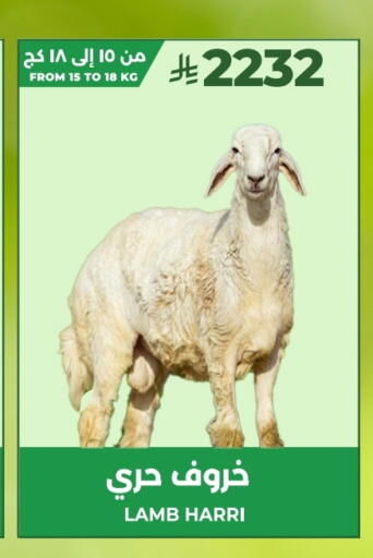 Mutton / Lamb available at LULU Hypermarket in KSA, Saudi Arabia, Saudi - Yanbu