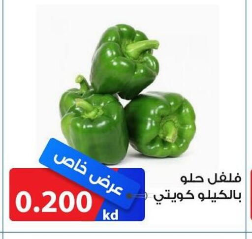 Chilli / Capsicum available at Shamieh Co.op in Kuwait - Kuwait City