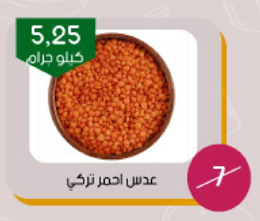 available at Arab Wissam Markets in KSA, Saudi Arabia, Saudi - Riyadh