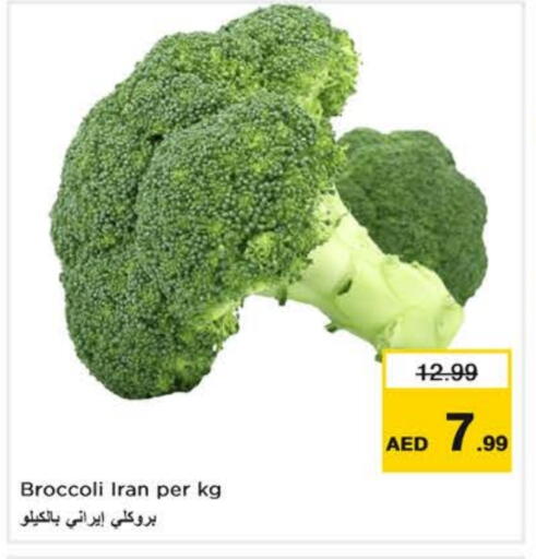 بروكلي from Iran available at نستو هايبرماركت in الإمارات العربية المتحدة , الامارات - دبي